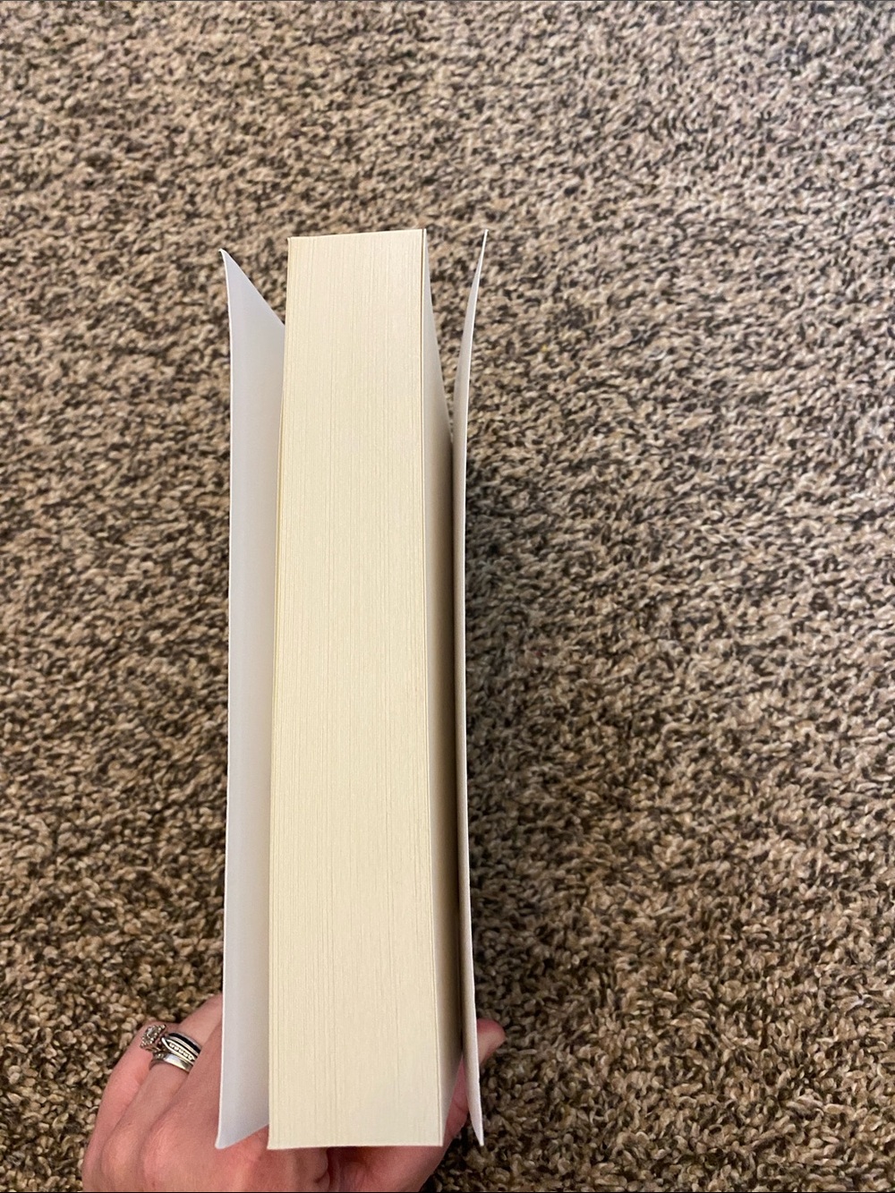 The Wolf King book - Picture 3 of 4